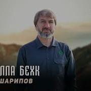 Увайс Шарипов 2024