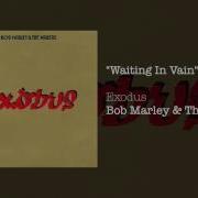 Wait In Vain