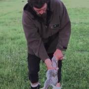 How To Skin A Rabbit