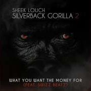 Sheek Louch What You Want The Money For Feat Swizz Beatz