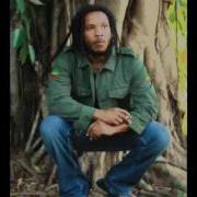 Stephen Marley False Friends