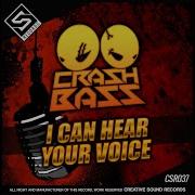 I Can Hear Your Voice Crash Bass