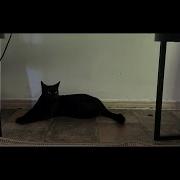 This House Is Not The Same Sweet Boy