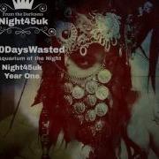 1000Dayswasted Midnight Sun