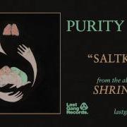 Purity Ring Saltkin