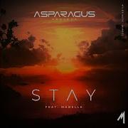 Stay Astaragust Progect