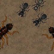 Pocket Ants Termite Nest Theme