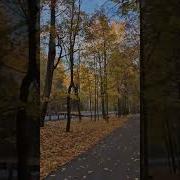 Невероято Красивая Осень
